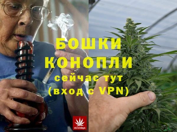 шишки Гусев