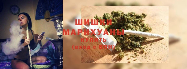 крисы Гусиноозёрск