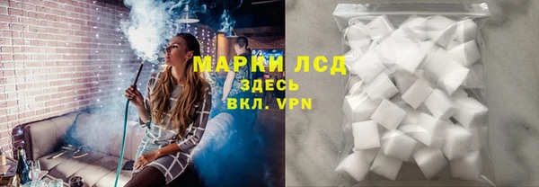 шишки Гусев