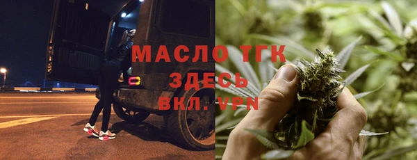 шишки Гусев