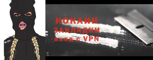 шишки Гусев