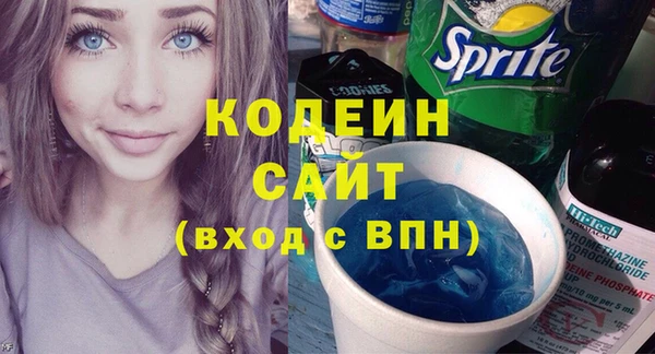 шишки Гусев