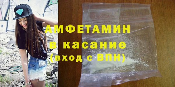 шишки Гусев