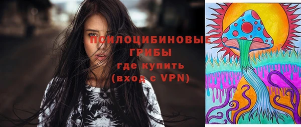 шишки Гусев