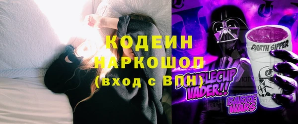 шишки Гусев