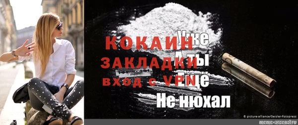шишки Гусев