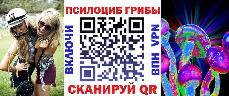 Купить закладки  Сергач  Псилоцибиновые грибы мухоморы 